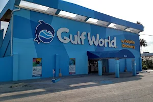 Gulf World Marine Park image