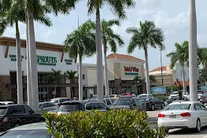 Pelican Plaza Shopping Center image
