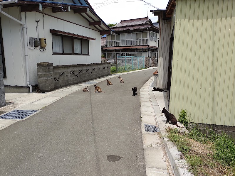 浦戸諸島行き乗り場