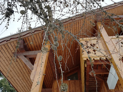 Chalet Nant de Morel à Les Allues
