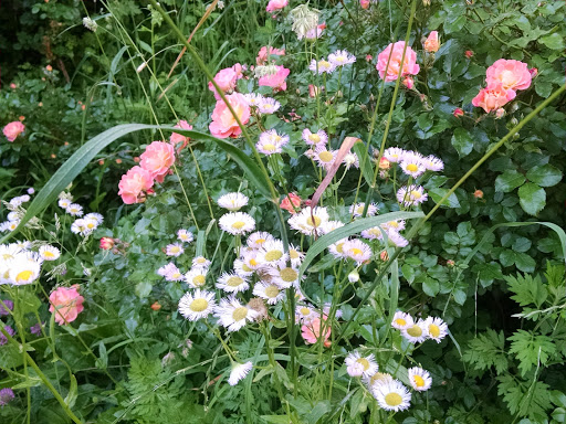 National Park «Hamilton Grange National Memorial», reviews and photos, 414 W 141st St, New York, NY 10031, USA