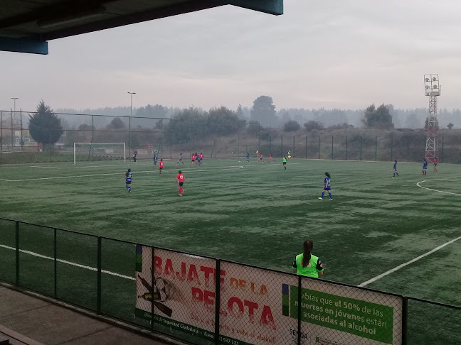 estadio ribera venecia