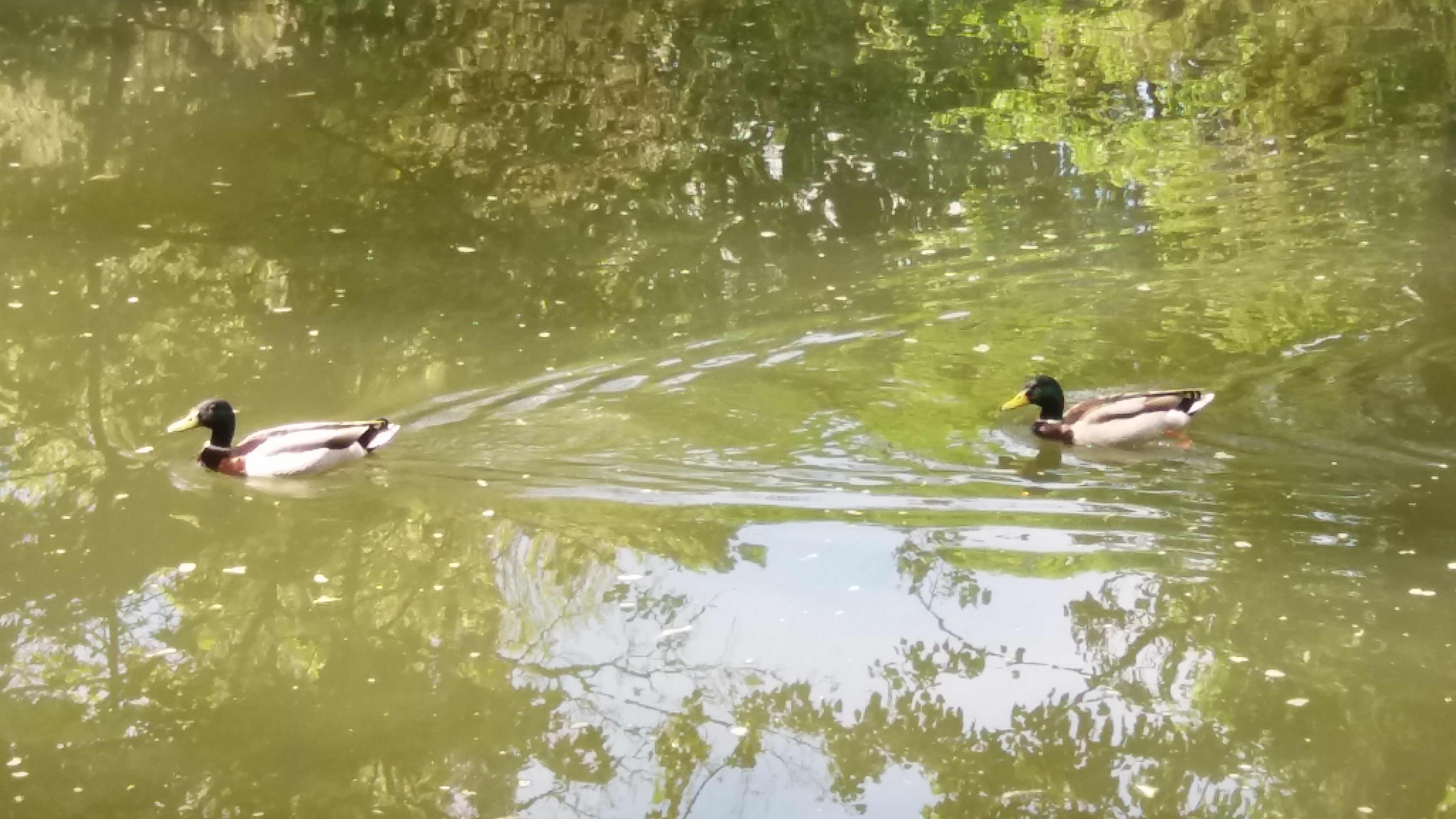 Photo n° 2 de l'avis de Jose.o fait le 22/05/2019 à 12:28