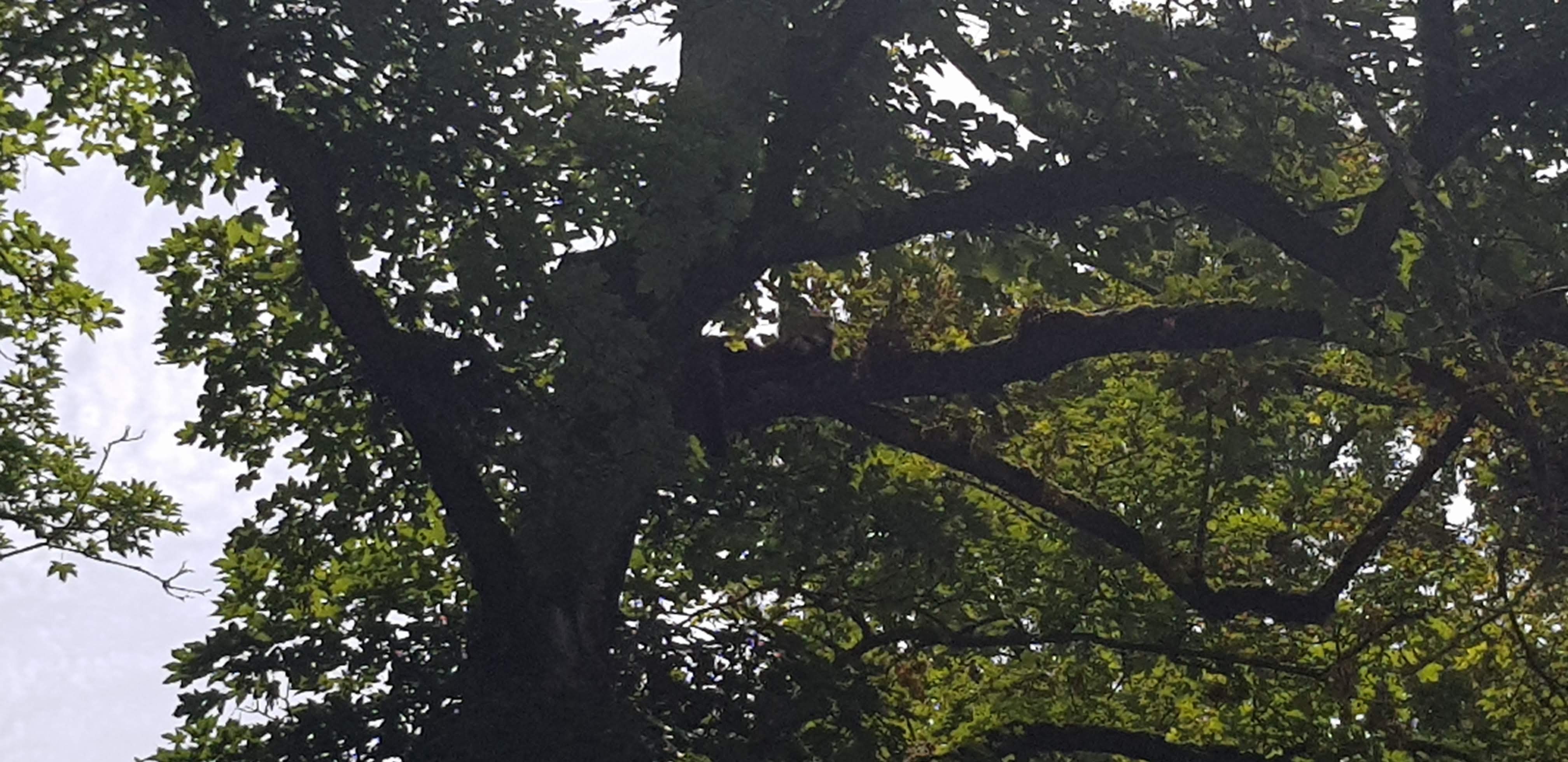 Photo n° 44 de l'avis de Nuk3d.t fait le 13/10/2019 à 18:58