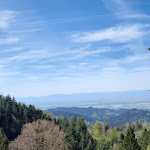 Photo n°2 de l'avis de Renate.a fait le 17/04/2024 à 11:52 sur le  Almgaststätte Kälbelescheuer à Münstertal