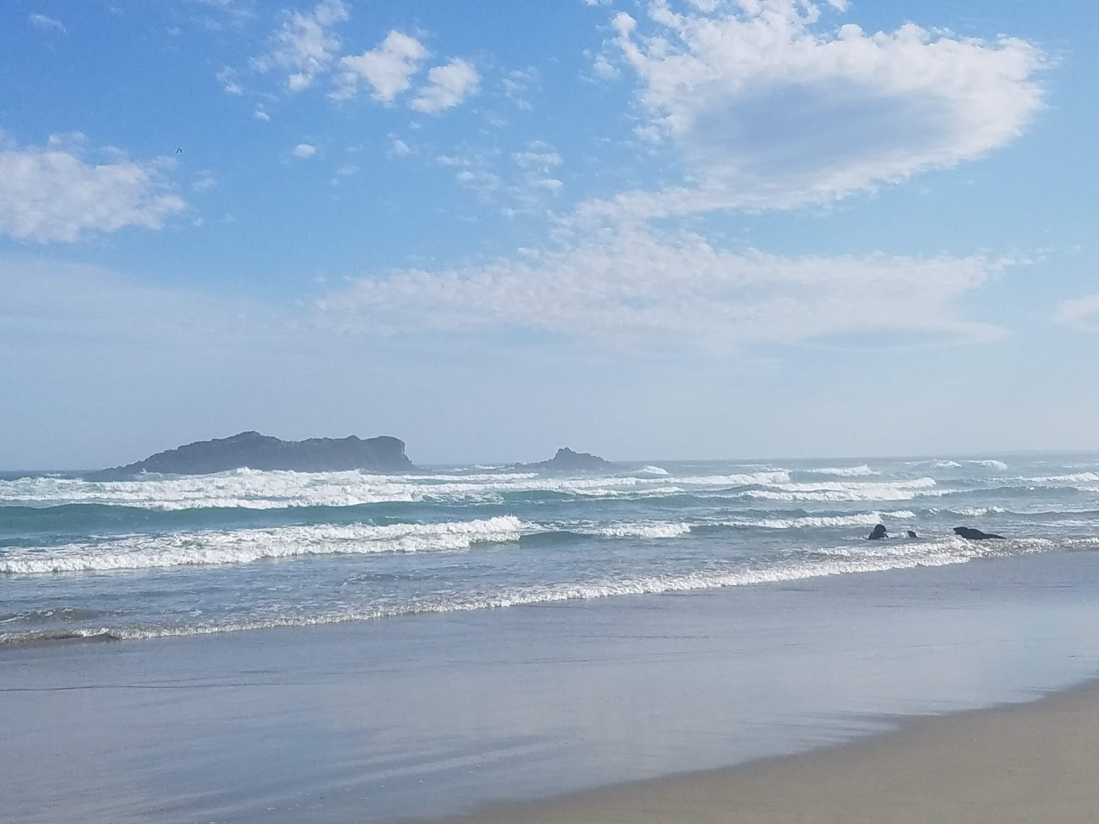Photo de Smaills Beach avec rivage droit, long