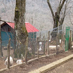 Photo n°2 de l'avis de Gerardo.e fait le 19/03/2022 à 16:03 sur le  THE FARM Tana del Ghiro à Pianella