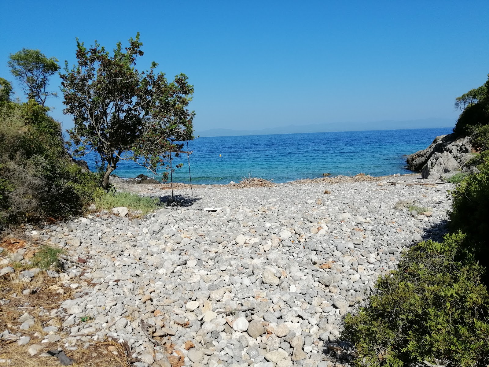 Dikotaki beach'in fotoğrafı vahşi alan