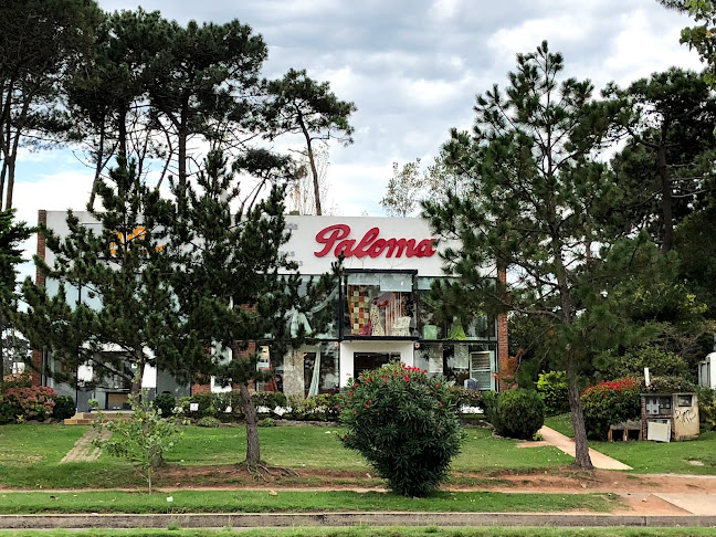 Paloma Cortinados - Tienda