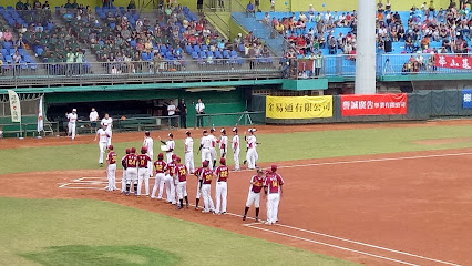 新竹市立棒球场