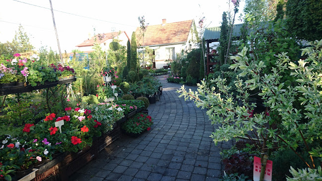 Dabas, Bartók Béla út 99, 2370