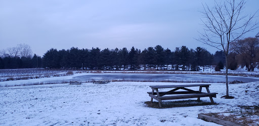 Vineyard «Vermilion Valley Vineyards», reviews and photos, 11005 Gore Orphanage Rd, Wakeman, OH 44889, USA