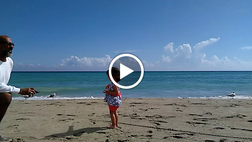 Shopping Mall «Oceanwalk Mall», reviews and photos, 101 N Ocean Dr, Hollywood, FL 33019, USA