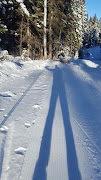 Business Reviews Aggregator: Caledonia Nordic Ski Club