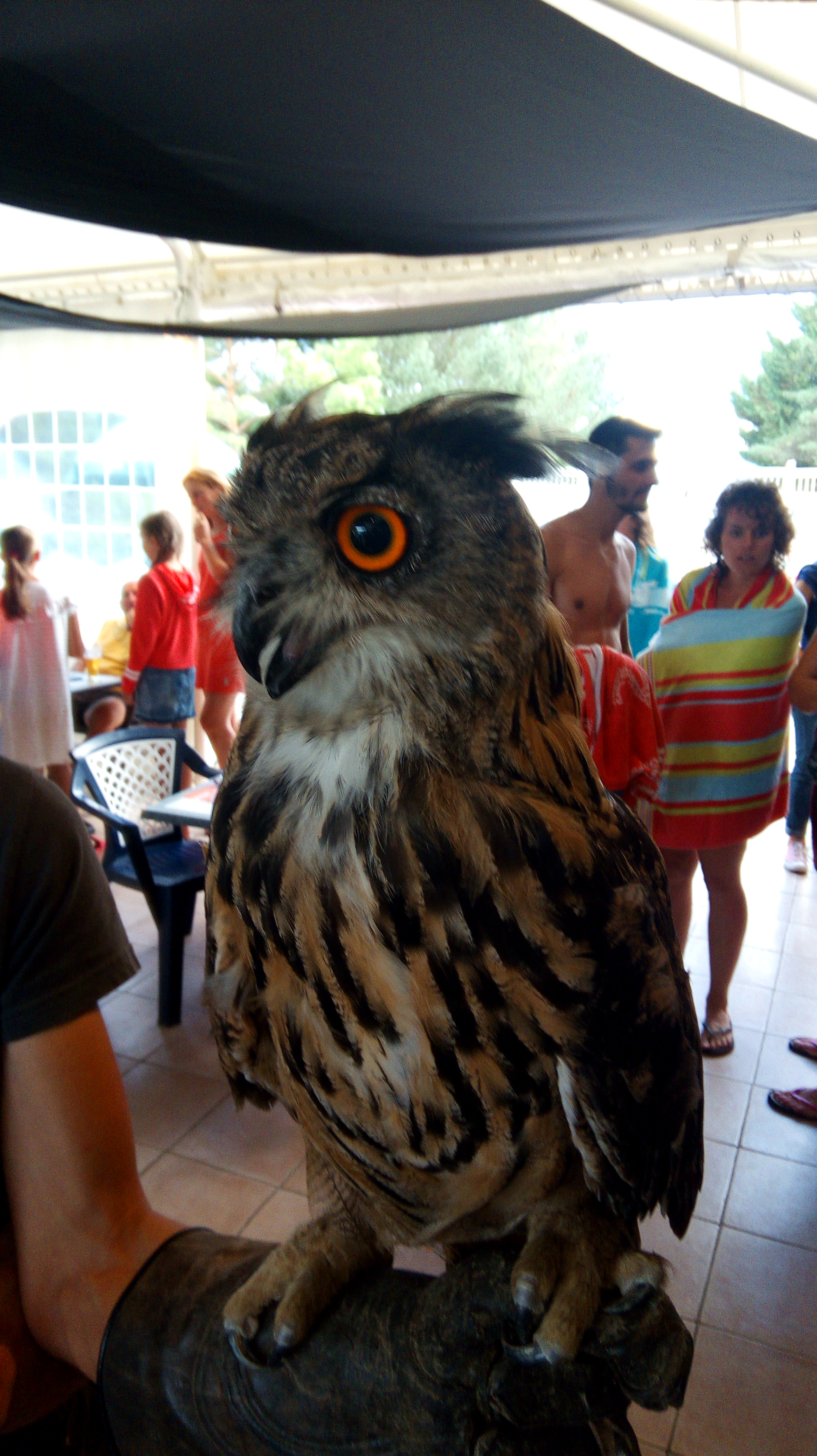 Photo n° 7 de l'avis de Pierre.c fait le 30/08/2018 à 07:16