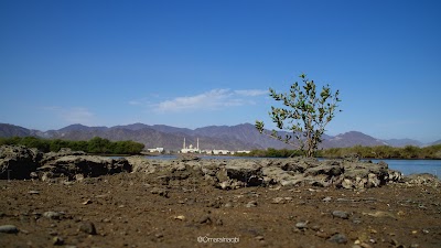 Photos of Wildlife Preserve