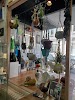 TL6 the Gallery