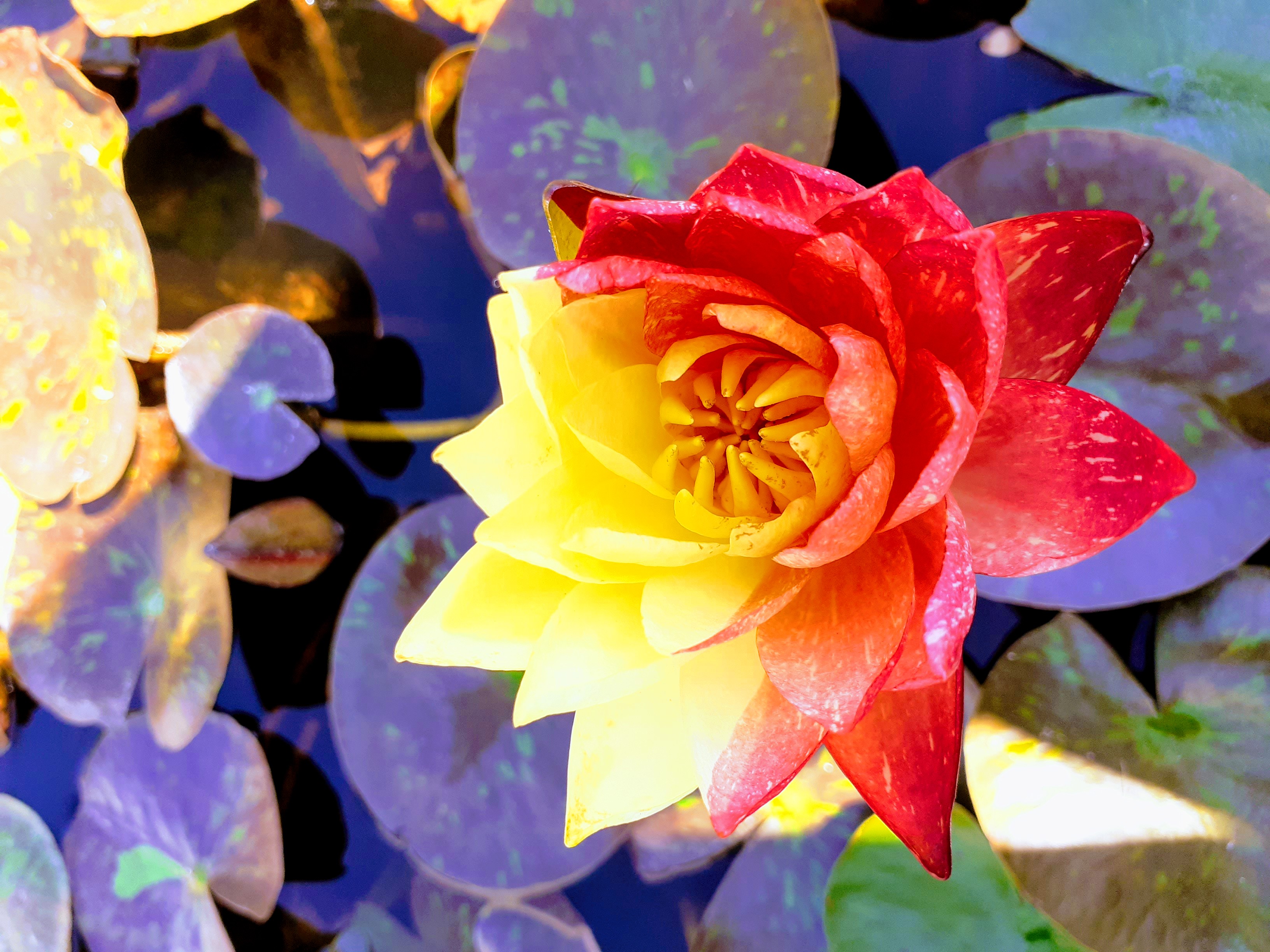 Photo n° 5 de l'avis de Marie.l fait le 11/09/2020 à 12:23