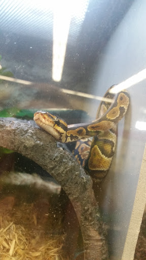 Pet Supply Store «Petco Animal Supplies», reviews and photos, 1619 SE Ensign Ln, Warrenton, OR 97146, USA