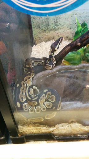 Pet Supply Store «PetSmart», reviews and photos, 5722 Fairmont Pkwy, Pasadena, TX 77505, USA