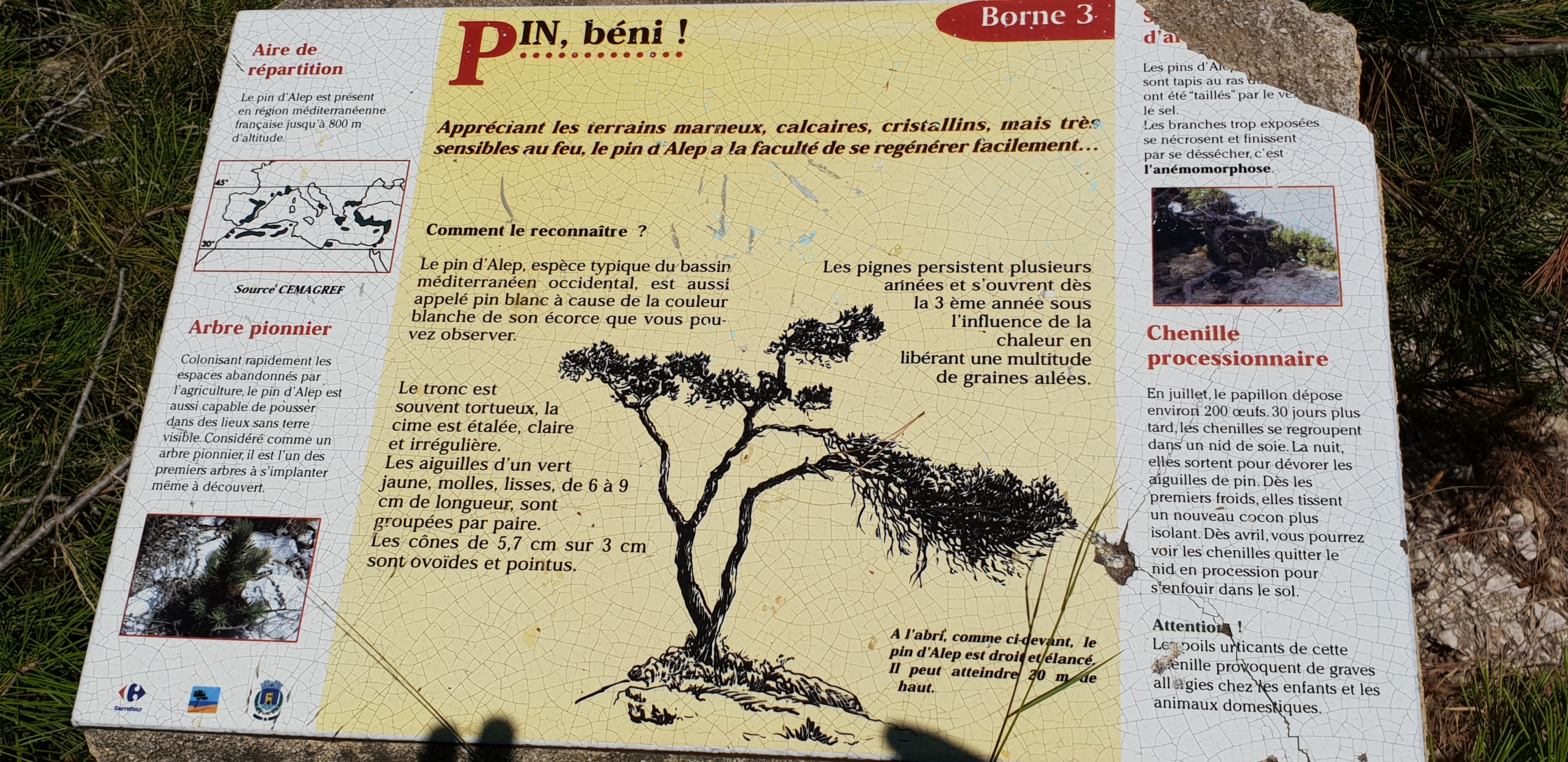 Photo n° 36 de l'avis de Dominique.A fait le 18/07/2018 à 08:27