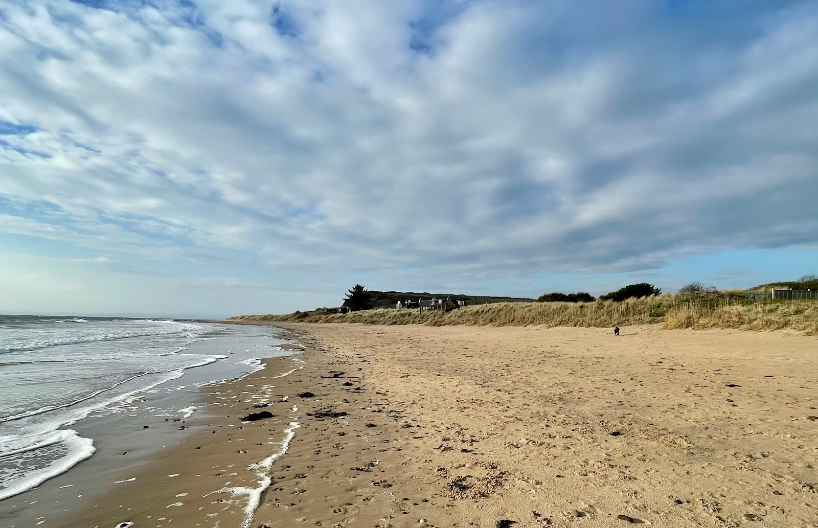 Photo of Shandwick Beach located in natural area
