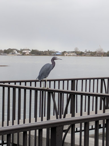 Event Venue «River House Events», reviews and photos, 179 Marine St, St Augustine, FL 32084, USA