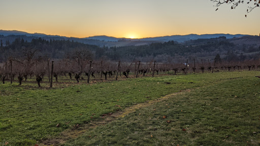 Vineyard «Tualatin Estate Vineyard», reviews and photos, 10850 NW Seavey Rd, Forest Grove, OR 97116, USA
