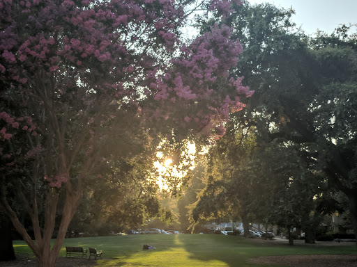 Pioneer Memorial Park image