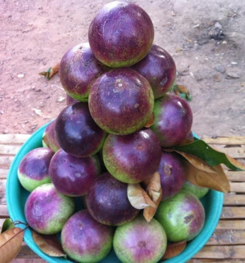 Asian Grocery Store «Asian Supermarket & Gifts Inc», reviews and photos, 4295 E Main St, Columbus, OH 43213, USA