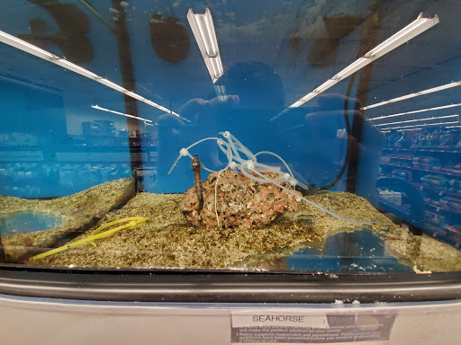 Pet Supply Store «Petco», reviews and photos, 348 IL-59, Naperville, IL 60540, USA