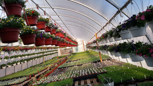 Produce Market «Sunscape Farms», reviews and photos, 1420 Creek St, Rochester, NY 14625, USA