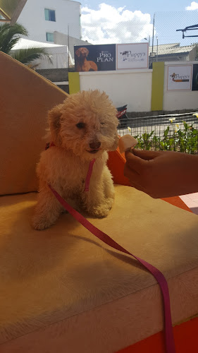 Opiniones de Puppy's en Quito - Guardería