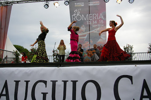 COURS DE FLAMENCO MONTPELLIER à Montpellier