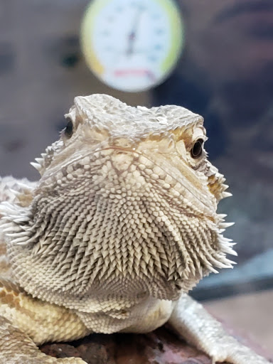 Pet Supply Store «Petco Animal Supplies», reviews and photos, 15475 Annapolis Rd #100, Bowie, MD 20715, USA