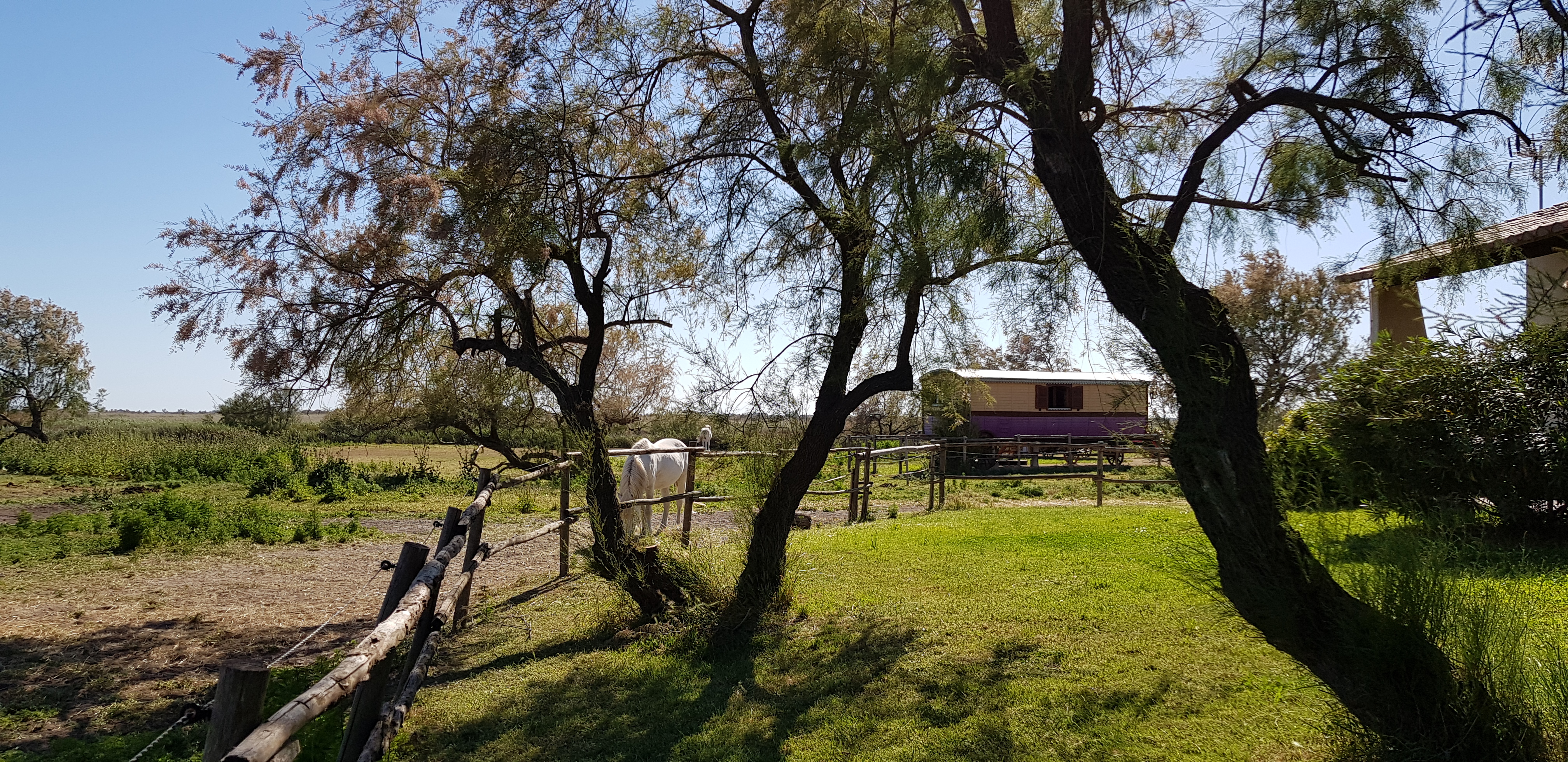 Photo n° 4 de l'avis de Patrice.. fait le 18/05/2019 à 11:57