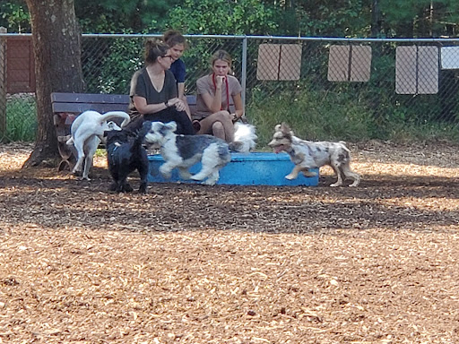 Dog Park «Sharon Dog Park», reviews and photos, 34 E Foxboro St, Sharon, MA 02067, USA