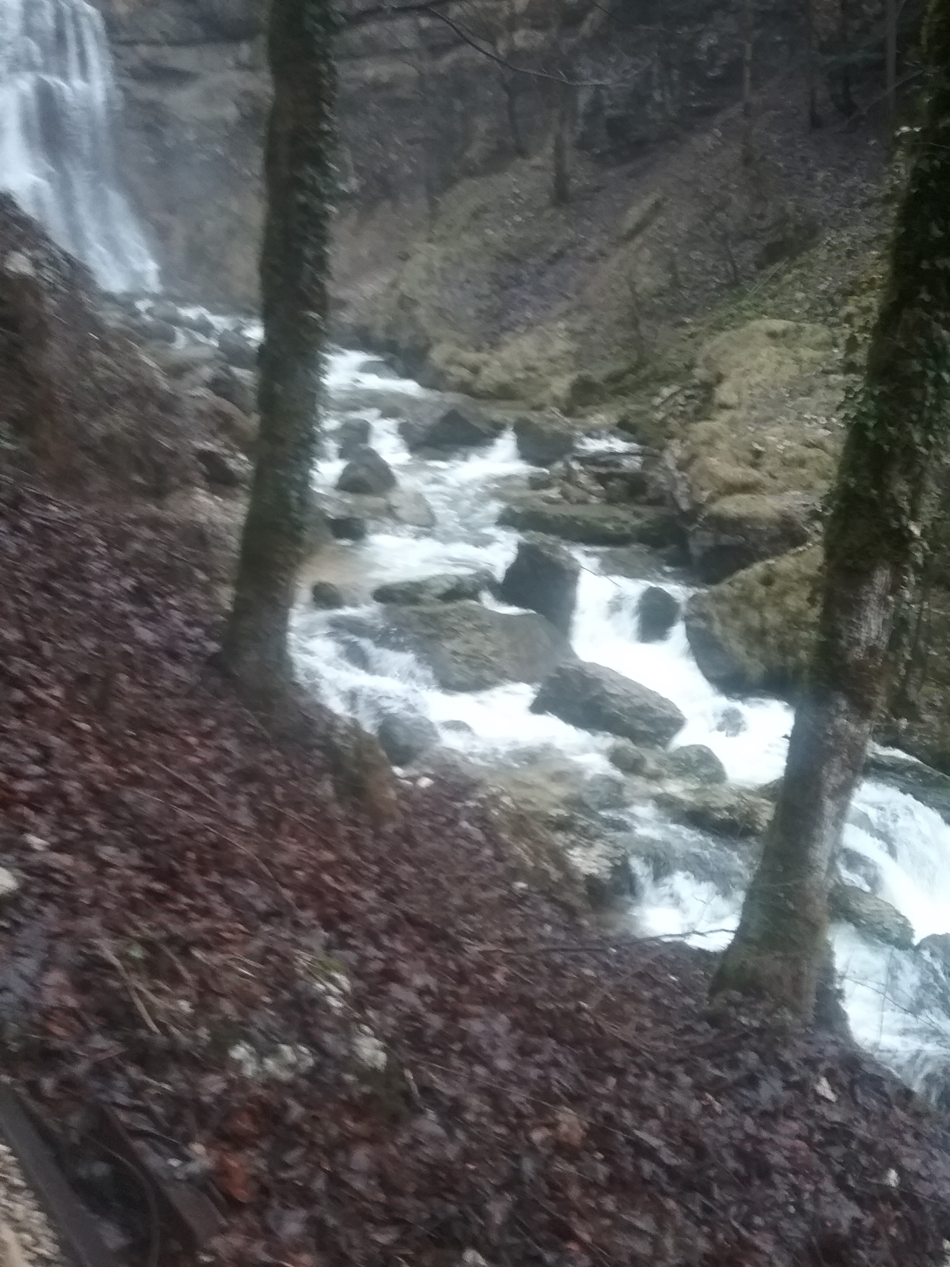 Photo n° 7 de l'avis de Franck.h fait le 10/03/2019 à 07:17
