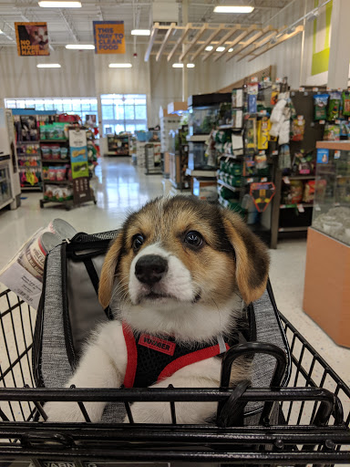 Petco