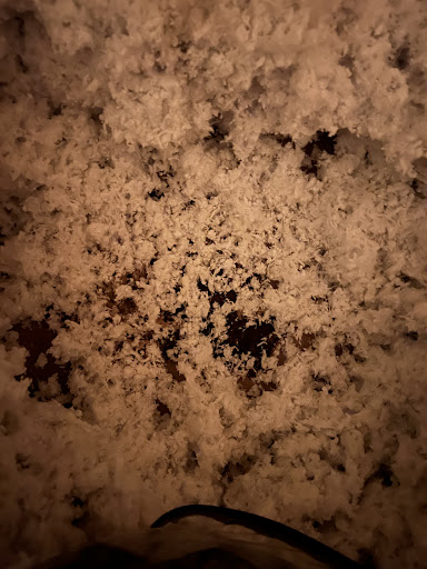 Roofing Contractor «Topper Construction», reviews and photos, 7138 English Muffin Way, Frederick, MD 21704, USA