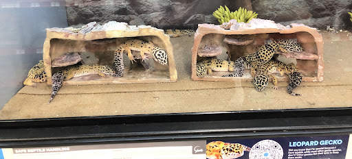 Pet Supply Store «Petco Animal Supplies», reviews and photos, 9 W Avon Rd, Avon, CT 06001, USA