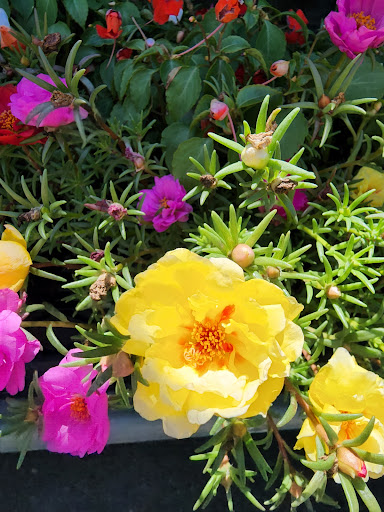 Department Store «Walmart Supercenter», reviews and photos, 2351 Century Dr, West Mifflin, PA 15122, USA