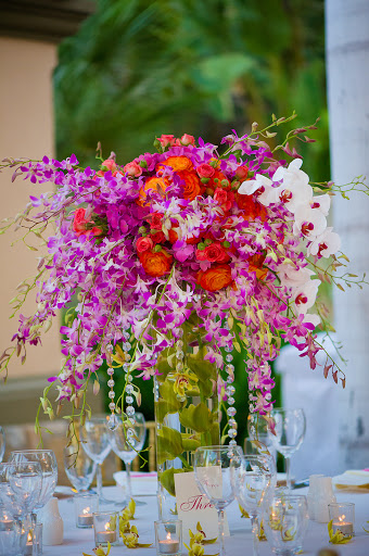 Event Planner «Ann Whittington», reviews and photos, 7926 Wellington Ct N, Houston, TX 77055, USA