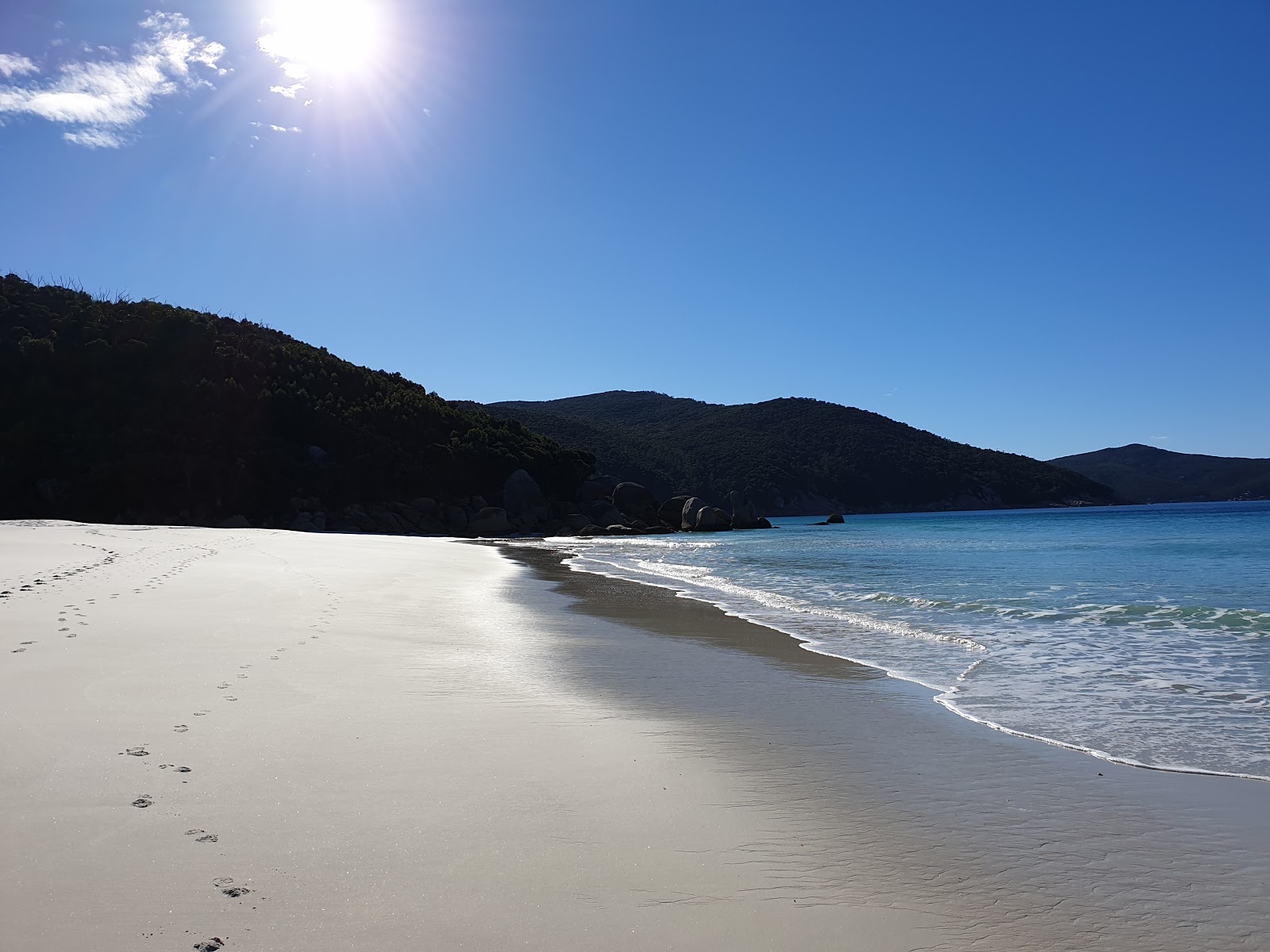 Little Waterloo Bay Beach'in fotoğrafı uçurumlarla desteklenmiş