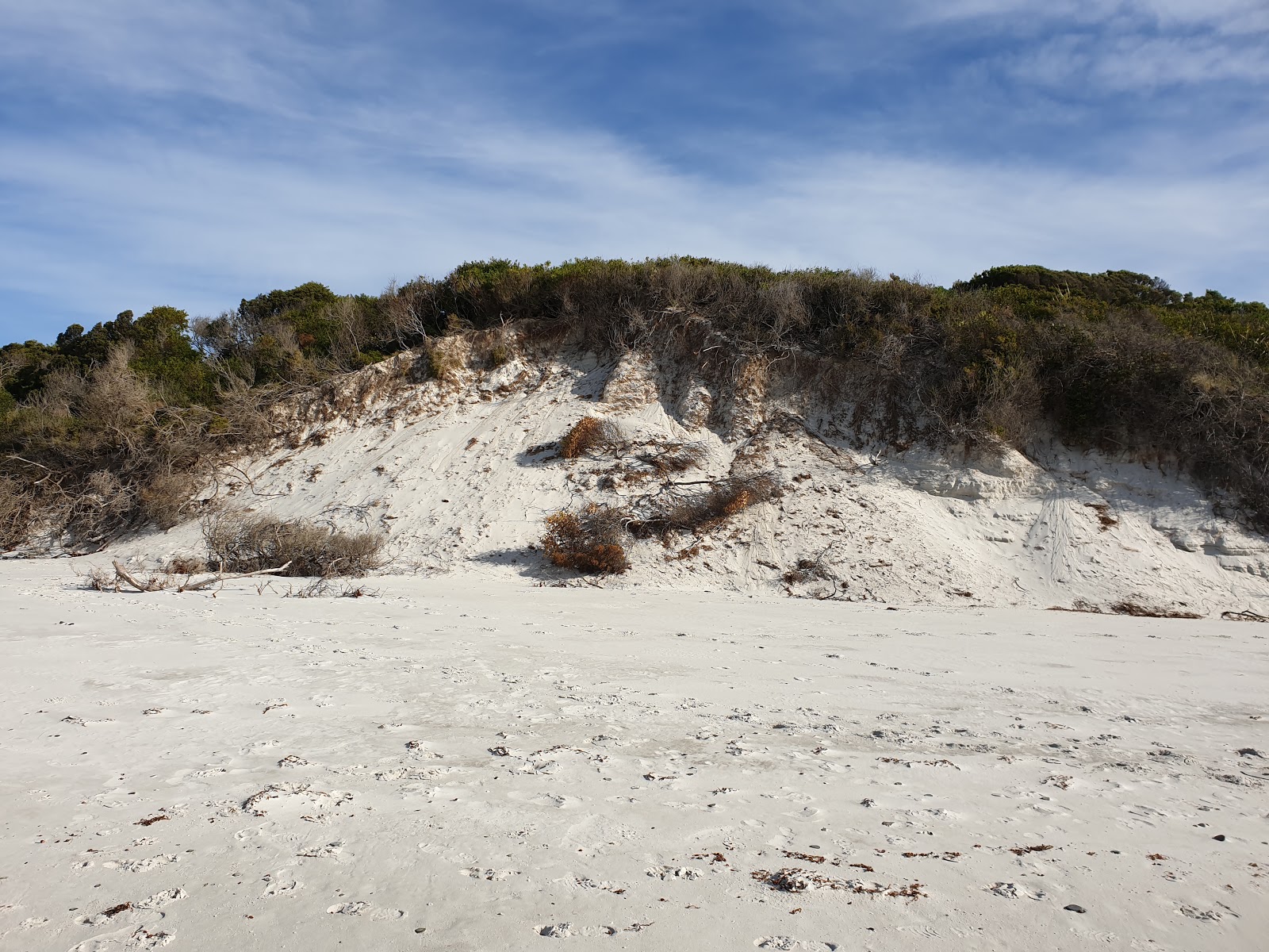 Denison Beach photo #8