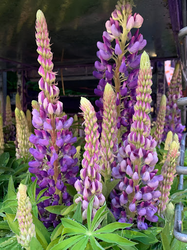 Home Improvement Store «The Home Depot», reviews and photos, 4101 Trueman Blvd, Hilliard, OH 43026, USA