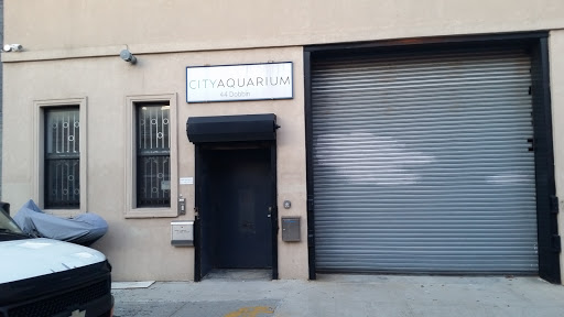 City Aquarium LLC image 1