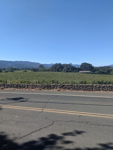 Bicycle Rental Service «Napa Valley Bike Tours & Rentals», reviews and photos, 6500 Washington St, Yountville, CA 94599, USA