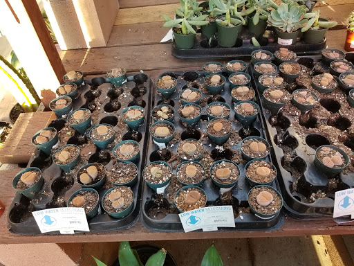 Hardware Store «Orchard Supply Hardware», reviews and photos, 5960 Sepulveda Blvd, Van Nuys, CA 91411, USA