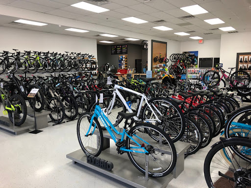 Bicycle Store «Trek Bicycle Stafford Aquia Park», reviews and photos, 2773 Jefferson Davis Hwy, Stafford, VA 22554, USA